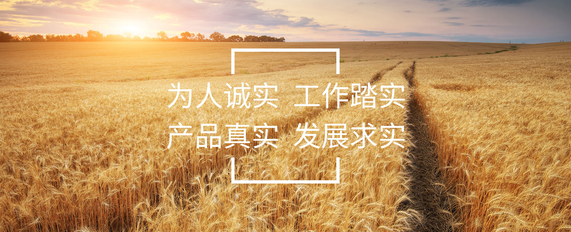 為人誠實  工作踏實 產品真實  發展求實